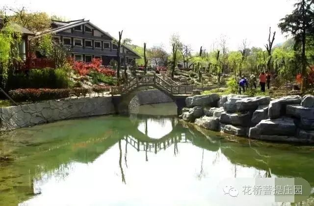 這個周末，隴南康縣花橋有大事要發(fā)生？