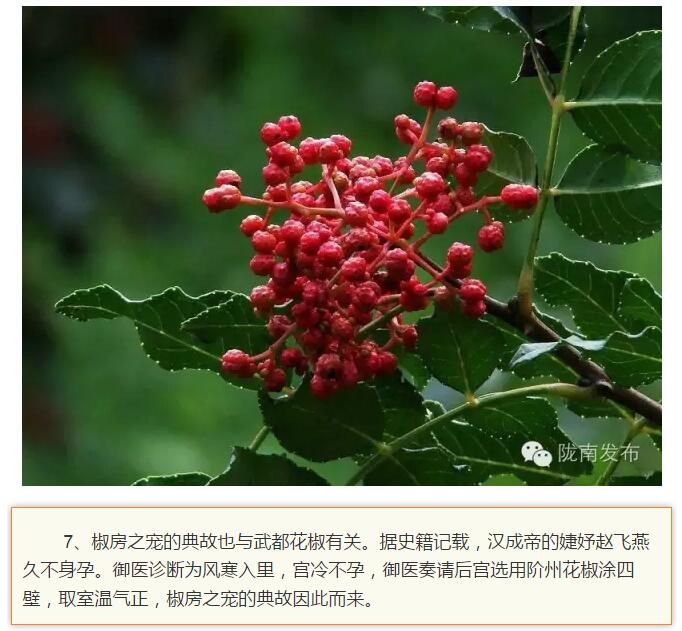 蘭渝鐵路最早由孫中山先生提出？在隴南，你不知道的事兒還有……