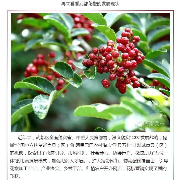5.28億！一場(chǎng)盛會(huì)，武都花椒“火”了