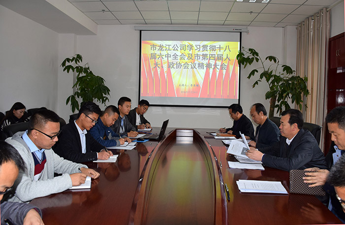 市龍江公司召開全體員工大會，專題傳達學習上級會議精神
