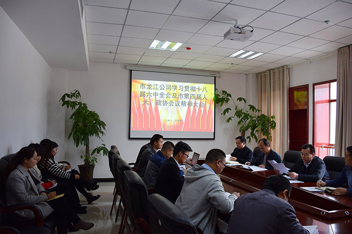 市龍江公司召開全體員工大會，專題傳達學習上級會議精神