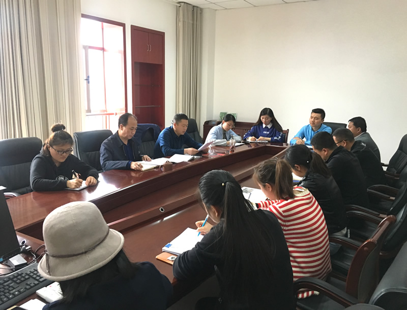 市龍江城鄉(xiāng)發(fā)展集團(tuán)專題學(xué)習(xí)近期中央、省、市紀(jì)律檢查委員會(huì)議精神