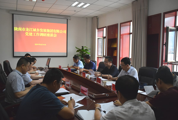 隴南市委常委、組織部部長楊郃調(diào)研指導(dǎo)市龍江城鄉(xiāng)發(fā)展集團(tuán)公司黨建工作